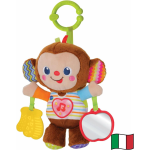 VT- NOE SCIMMIETTA CANTERINA