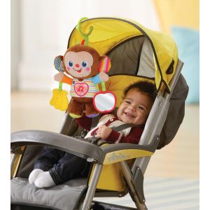 VT- NOE SCIMMIETTA CANTERINA