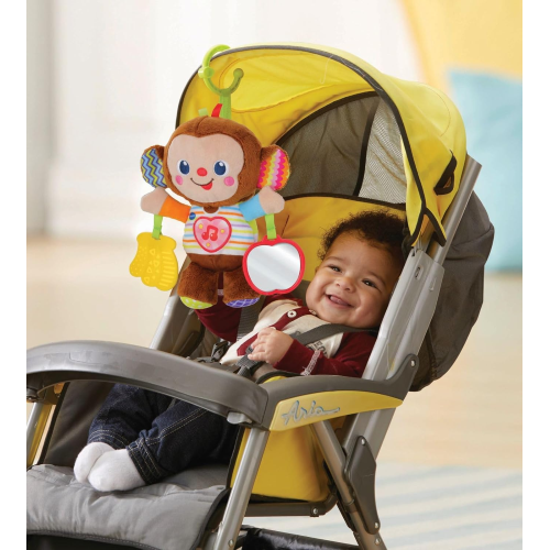 VT- NOE SCIMMIETTA CANTERINA