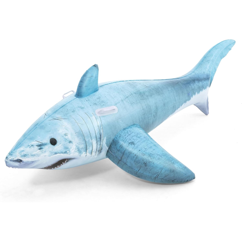 CAVALCABILE - SQUALO  CM 183 X 102