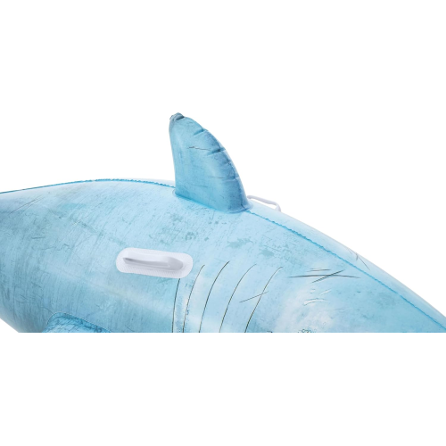 CAVALCABILE - SQUALO  CM 183 X 102