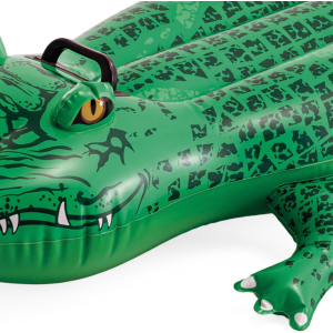 CAVALCABILE - COCCODRILLO ALLIGATORE