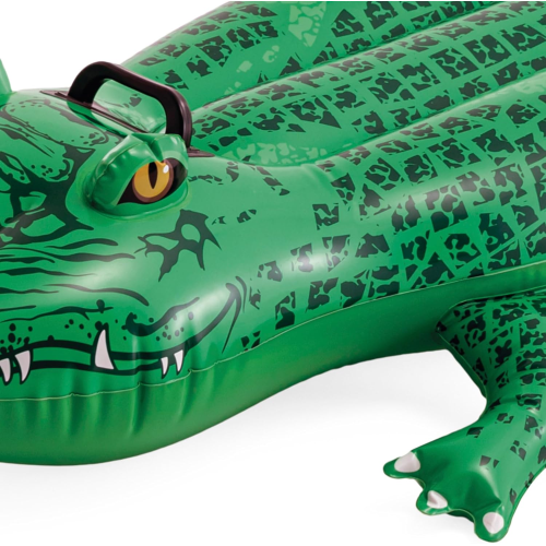 CAVALCABILE - COCCODRILLO ALLIGATORE