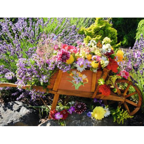 PZL 500  BLUMENARRANGEMENT