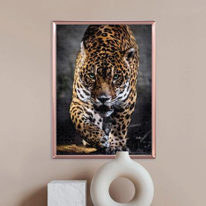 PZL 1000 WALK OF THE JAGUAR