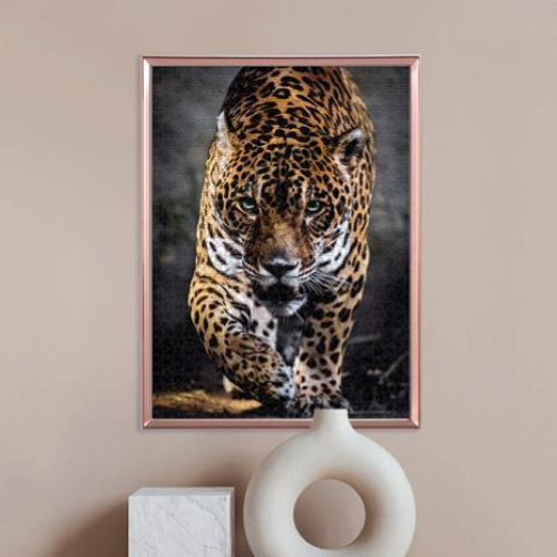 PZL 1000 WALK OF THE JAGUAR