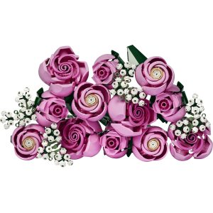 BOTANICALS- BOUQUET DI ROSE ROSA