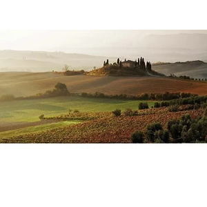 PZL 1000  SAN QUIRICO D´ORCIA