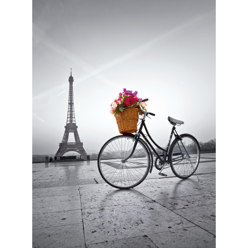 PZL 500 PASSEGGIATA ROMANTICA A PARIGI