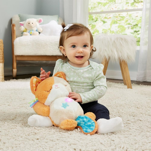 $ VT- BIRBA DORMI E SOGNA