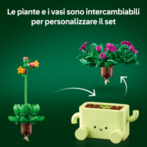 BOTANICALS- PIANTE DONDOLANTI
