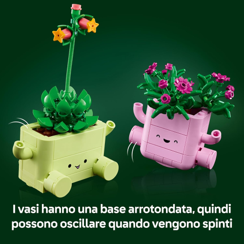 BOTANICALS- PIANTE DONDOLANTI