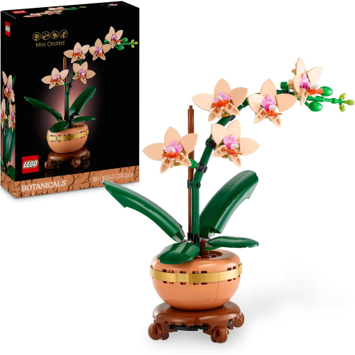 BOTANICALS- MINI ORCHIDEA