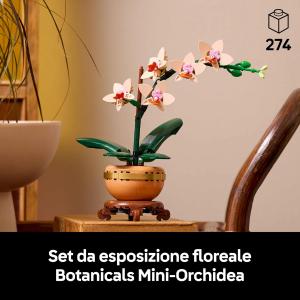 BOTANICALS- MINI ORCHIDEA