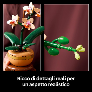 BOTANICALS- MINI ORCHIDEA