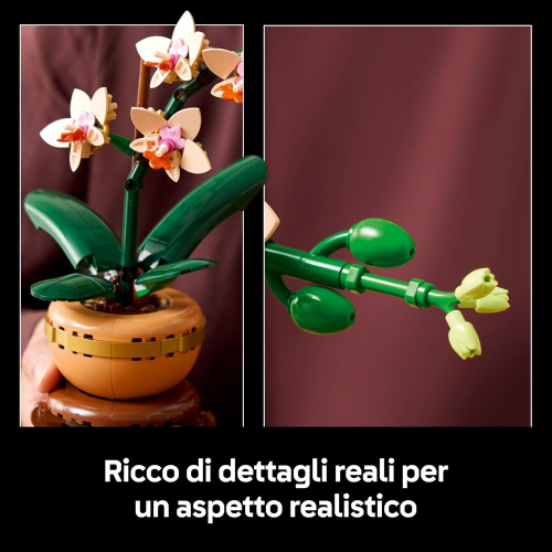 BOTANICALS- MINI ORCHIDEA