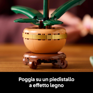 BOTANICALS- MINI ORCHIDEA