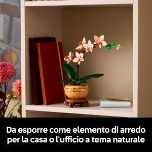 BOTANICALS- MINI ORCHIDEA