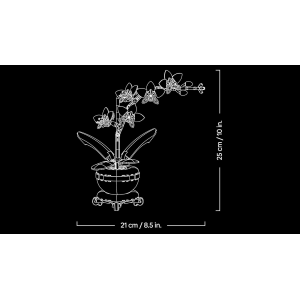 BOTANICALS- MINI ORCHIDEA