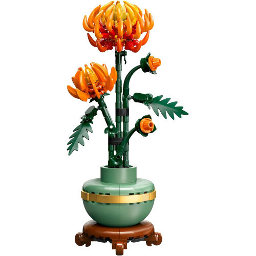 BOTANICALS- CRISANTEMO