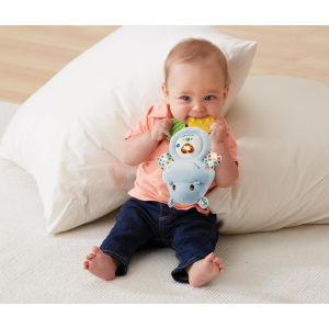 VT- IPPO SONAGLINO MASSAGGIA GENGIVE