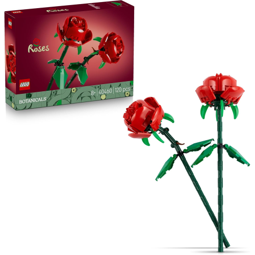 BOTANICALS- ROSE