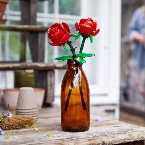 BOTANICALS- ROSE