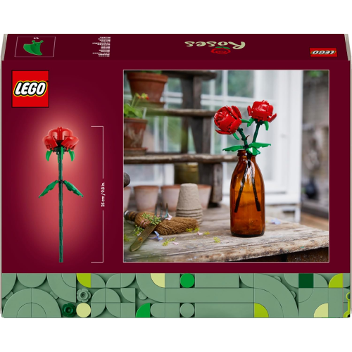 BOTANICALS- ROSE