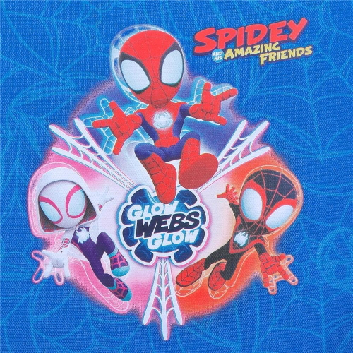 SPIDEY- NECESER 2 CERN.