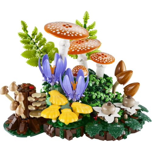 BOTANICALS- FUNGHI DEL BOSCO
