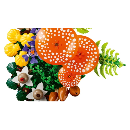 BOTANICALS- FUNGHI DEL BOSCO